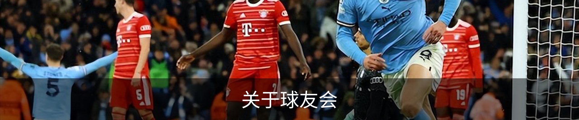 关于球友会